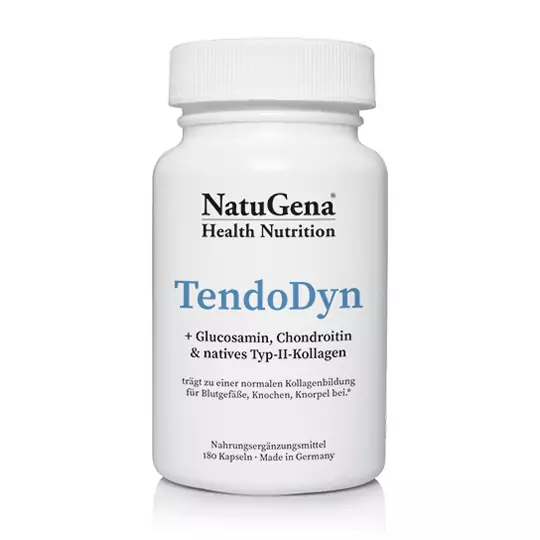 TendoDyn